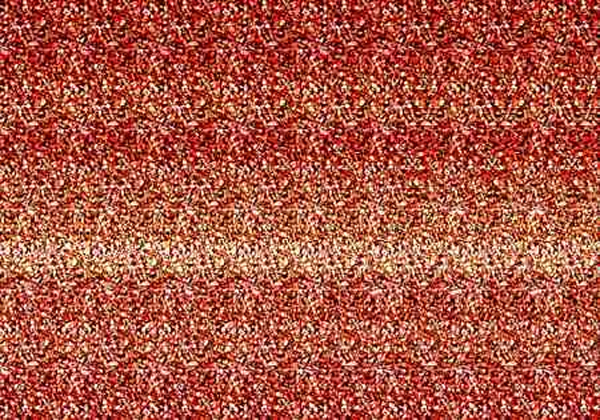 See the 3-D Dinosaur! See the 3-D Dinosaur!